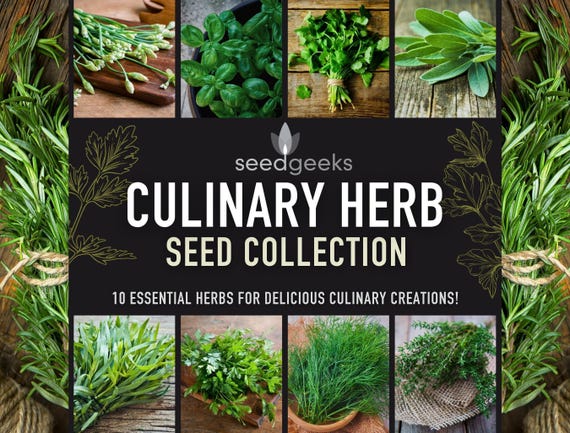 Culinary Herb Heirloom Seed Collection - 10 Non-GMO Varieties, Easy to grow
