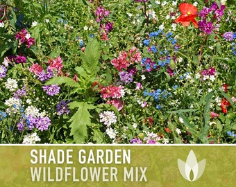 Shade Garden Wildflower Seed Mix - Seed Packets, Heirloom Seeds, Flower Seeds, Non GMO, Open Pollinated