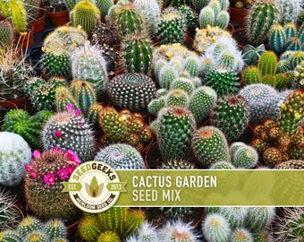 Cactus Garden Seed Mix | 50+ Seeds, Saguaro, Prickly Pear, Hedgehog, Santa Rita, Desert, Cactaceae