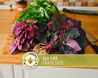 May include: Freshly harvested Red Fire Orach seed bundles with vibrant red and green leaves, roots, and stems, displayed on a wooden cutting board. The image includes the Seed Geeks logo and text: "Red Fire Orach Seed".