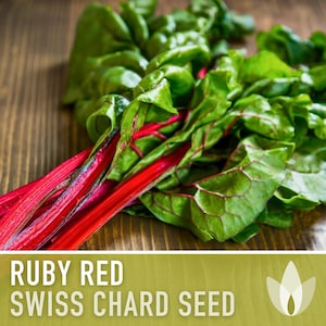 May include: Ruby Red Swiss Chard Seed. A bunch of red stemmed Swiss chard with green leaves.