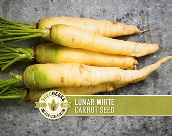 Lunar White Carrot Seeds - Heirloom, Colored Carrots, Rainbow Carrot, Open Pollinated, Non-GMO