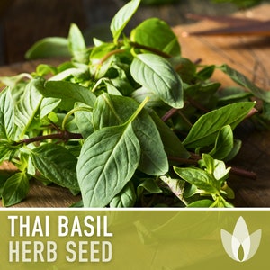 Thai Basil Herb Heirloom Seeds image 6