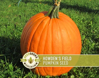 Howden's Field Pumpkin Seeds - Heirloom Jack-O-Lantern & Pie Variety