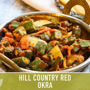 Hll Country Red Okra Seeds | Etsy