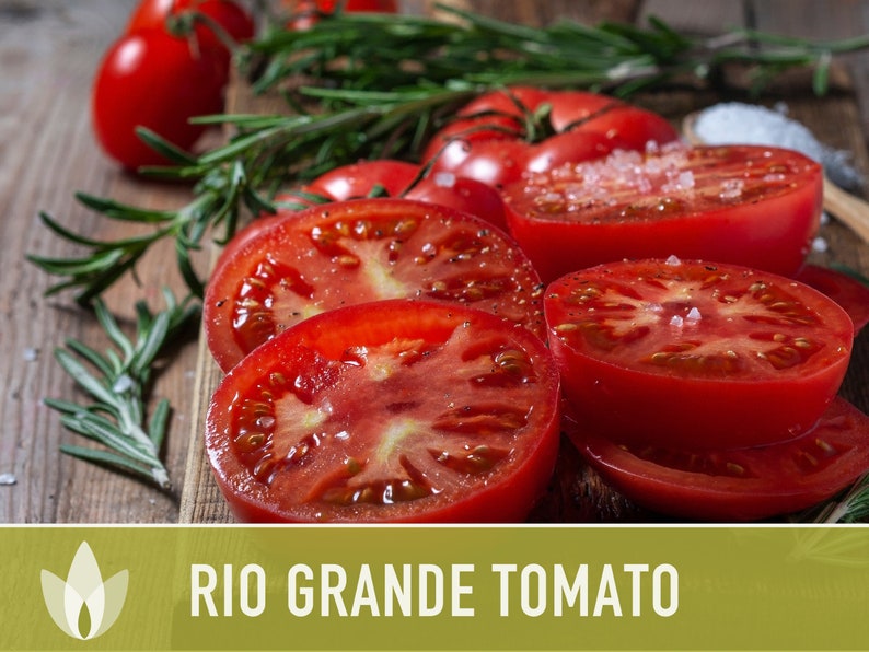 Rio Grande Tomato Seeds Heirloom Determinate Juicing Etsy