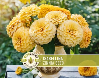 Isabellina Zinnia Seed | 100+ Seeds, Heirloom, Butter Yellow Flowers, Pollinators, Zinnia elegans
