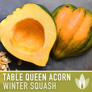 May include: A halved Table Queen acorn squash with a bright orange interior and green exterior. The squash is on a gray surface with seeds scattered around it. The text "TABLE QUEEN ACORN WINTER SQUASH" is displayed on a green background.