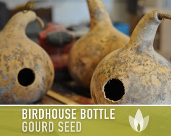 Birdhouse Bottle Gourd Seeds - Heirloom Seeds, Vining Squash Seeds, Bottle Gourd, Open Pollinated, Non-GMO