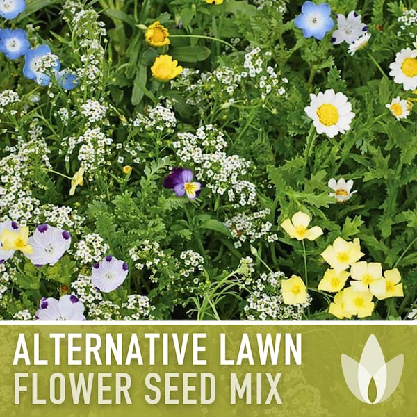 Alternative Lawn Heirloom Seed Mix - Seed Packets, Flower Seeds, Herb Seeds, Non GMO, Open Pollinated, Native Seeds, Wildflower Seeds