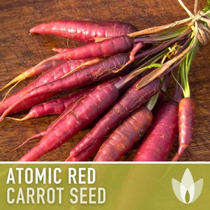 May include: A bunch of purple carrots with green tops tied together with twine. The carrots are arranged on a wooden surface. The text "ATOMIC RED CARROT SEED" is displayed below the carrots.