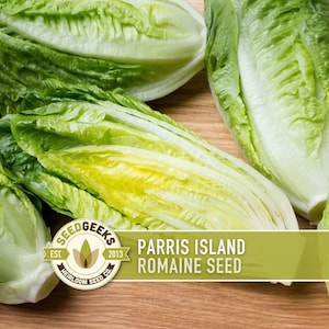 May include: Fresh Parris Island romaine lettuce heads with vibrant green leaves and pale yellow hearts. The image features several whole and halved heads of lettuce, showcasing their crisp texture. The text "Parris Island Romaine Seed" is visible.