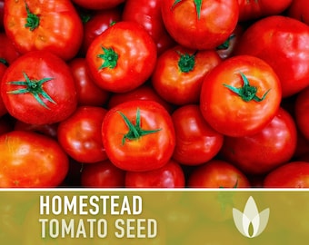 Homestead Improved Tomato Seeds - Heirloom Seeds, Floridade, High Yield, Heat Loving, Slicing Tomato, Canning Tomato, Determinate, Non-GMO