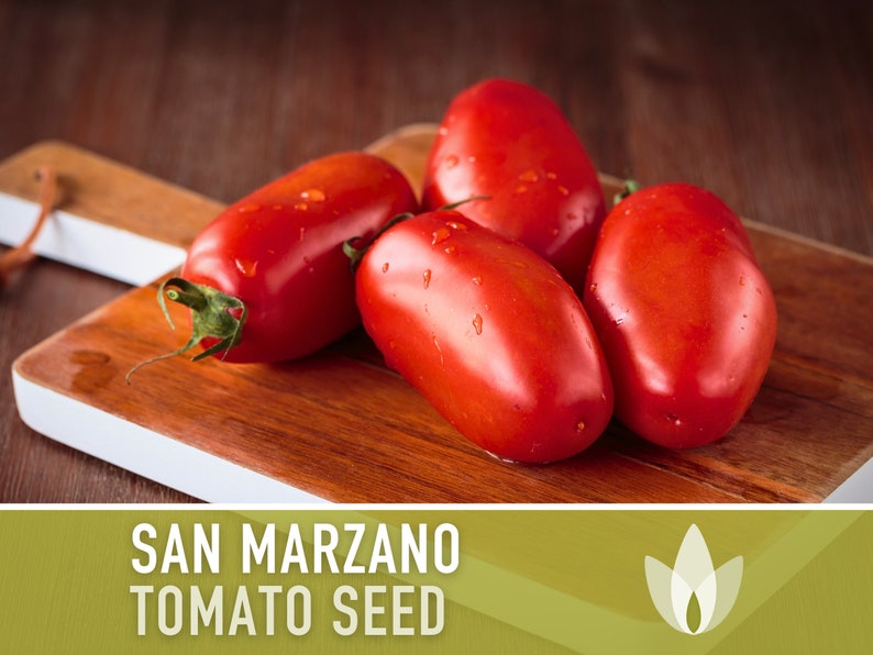 San Marzano Tomato Heirloom Seeds Paste Tomato, Canning Tomato, Slicing Tomato, Indeterminate, Open Pollinated, Non-GMO image 2