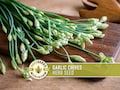 Garlic Chives Seeds | 100+ Seeds, Herb, Non-GMO Heirloom, Culinary & Medicinal, Allium tuberosum