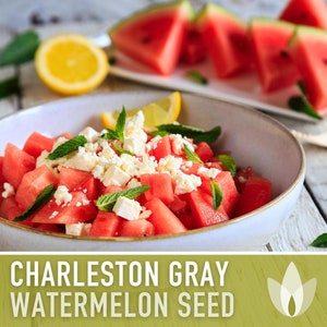 Watermelon, Charleston Gray 133 , Watermelon Seeds: R.H. Shumway's Company