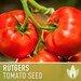 see more listings in the Vegetable Seeds section