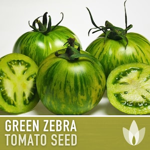 Green Zebra Tomato Seeds - 30 Heirloom Seeds, Chef&#39;s Favorite, Rich Flavor, Indeterminate, Easy to Grow, Open Pollinated, Organic, Non-GMO