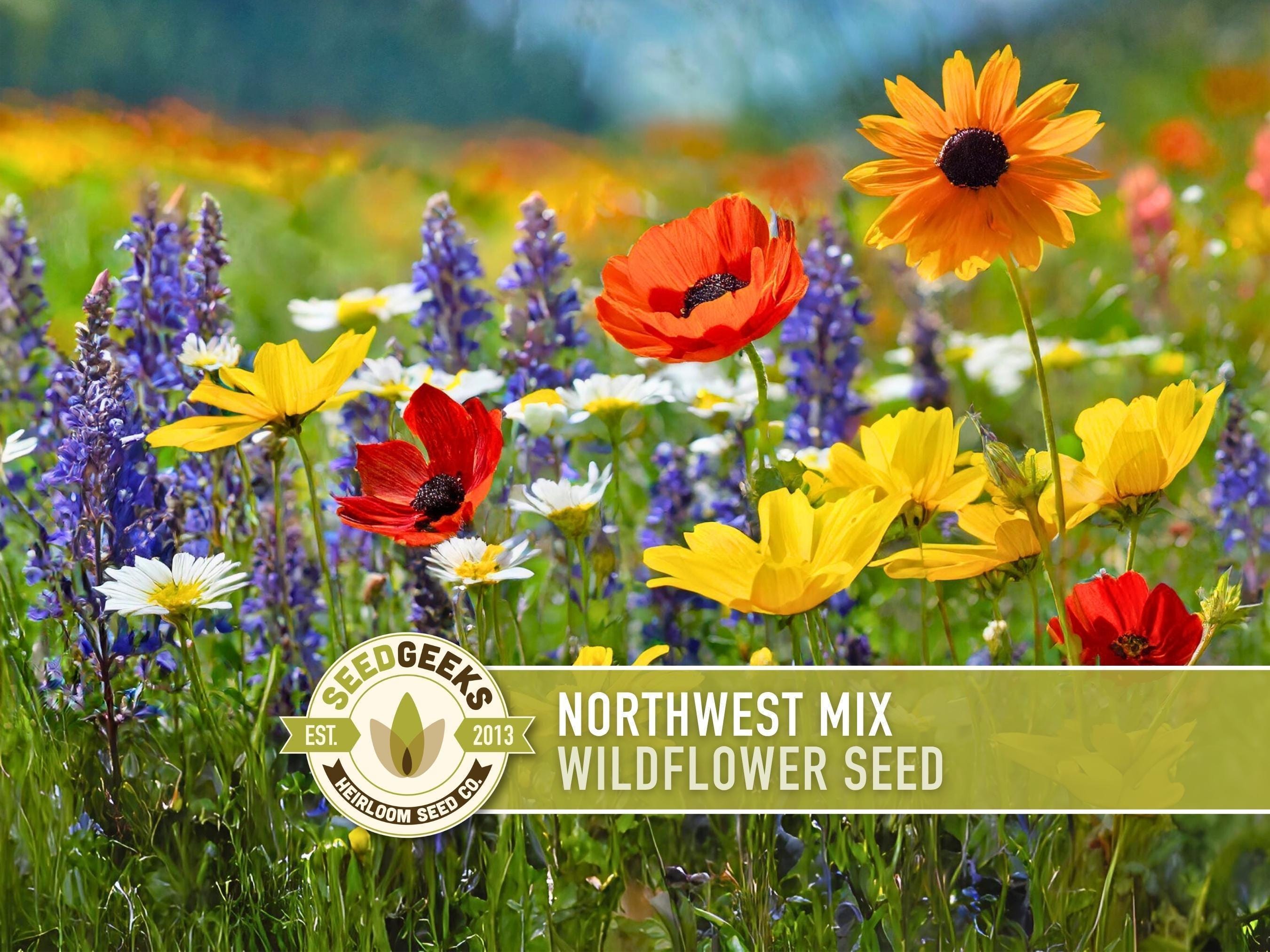 indoor pot mix Organic Garden Soil 8 Qt. All Natural Indoor Potting Mix Kellogg