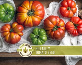 Hillbilly Tomato Seeds - Heirloom, Low Acid, Multicolor Beefsteak
