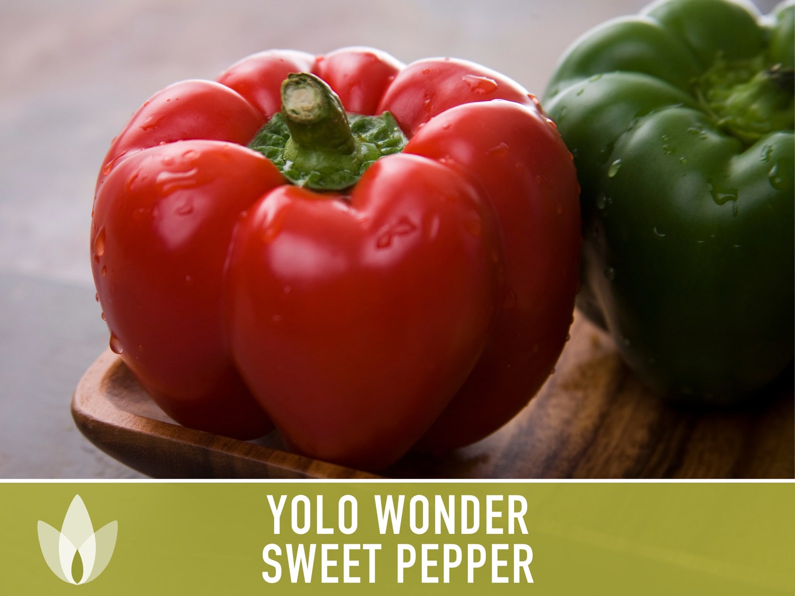 Sweet Pepper Yolo Wonder at Elva Chiang blog