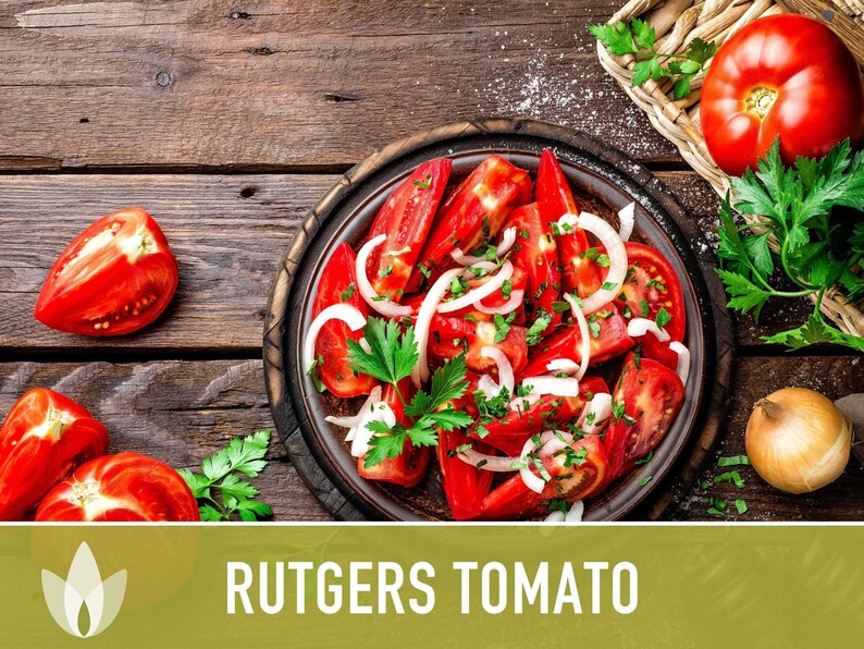 Rutgers Heirloom Tomato Seeds | Organic Garden, Canning & Soup | Open Pollinated, Non-GMO, Disease-Resistant | 50+ Seeds image 9