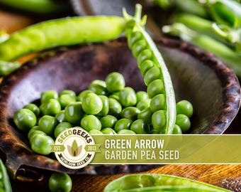 Green Arrow Pea Seeds - Heirloom, Open Pollinated, Canning