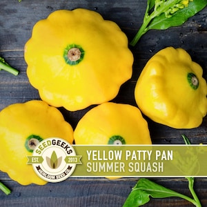 May include: Four bright yellow patty pan summer squash on a dark wood surface, with green leafy sprigs. The squash have a scalloped edge and a green center. The image includes a logo that reads "Seed Geeks" and the text "Yellow Patty Pan Summer Squash."
