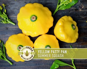 Yellow Scallop Patty Pan Bush Summer Squash Heirloom Seeds
