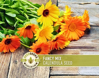 Calendula Fancy Mix Seed | 50+ Seeds, Heirloom Edible Flower, Non-GMO, Medicinal Herb, Calendula officinalis