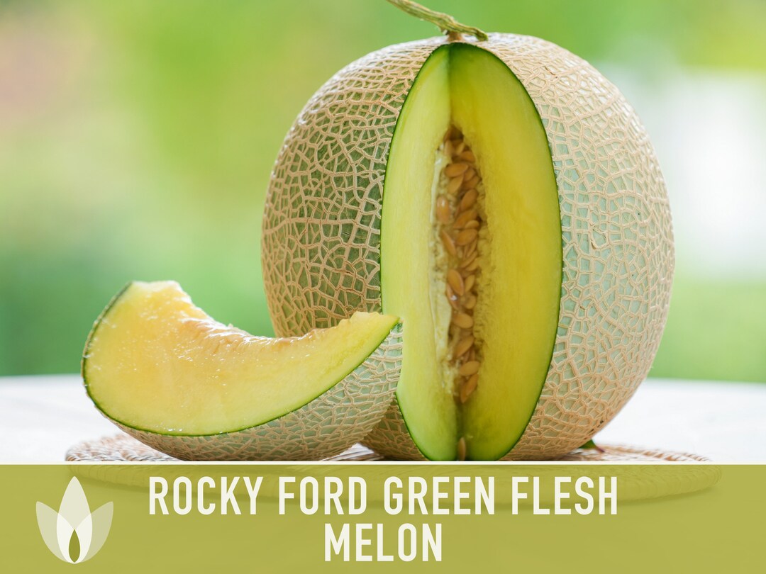 Rocky Ford Green Flesh Melon Seeds Heirloom Seeds, Eden Gem, Fruit