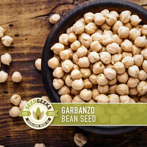 May include: A wooden bowl filled with dried garbanzo beans, with some beans scattered on a wooden surface. The image includes the text "Garbanzo Bean Seed" and a logo for Seed Geeks.