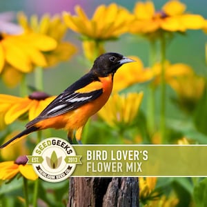 Bird Watcher's Wildflower Seed Mix – Bird-Friendly, Non-GMO Heirloom Seeds