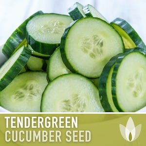 Tendergreen Burpless Cucumber Seeds - Heirloom Seeds, Heavy Yield, Slicing Cucumber, Pickling Cucumber, Open Pollinated, Non-GMO