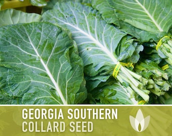 Georgia Southern Collards Heirloom Seeds