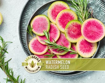 Watermelon Radish Heirloom Seeds