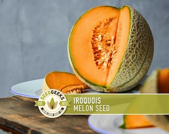 Iroquois Melon Seeds - Heirloom Cantaloupe, Orange Flesh