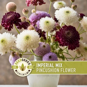 Imperial Mix Pincushion Flower Seeds, Double Blooms, Pollinator Garden image 1