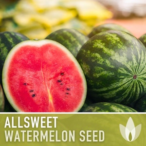 Allsweet Watermelon Heirloom Seeds - Non-GMO, Open Pollinated, Untreated