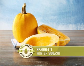 Spaghetti Winter Squash Seeds - 20 Heirloom, Non-GMO
