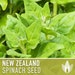 see more listings in the Vegetable Seeds section
