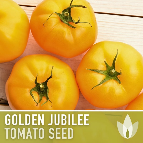 Golden Jubilee Tomato Heirloom Seeds