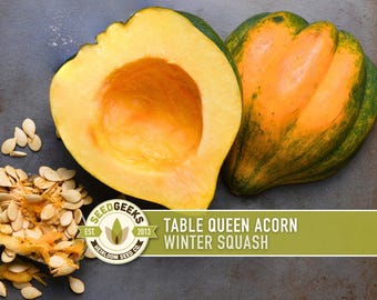Table Queen Acorn Winter Squash Heirloom Seeds
