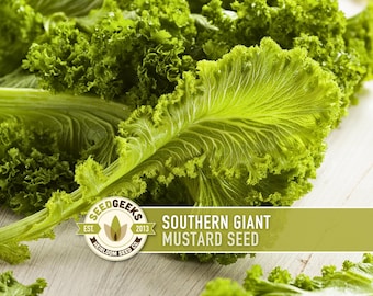 Southern Giant Curled Mustard Greens Heirloom Seeds
