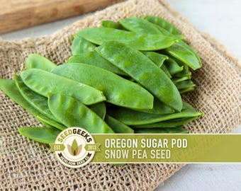 Oregon Sugar Pod Snow Pea Heirloom Seeds