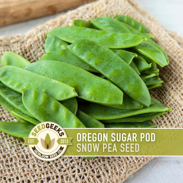 Oregon Sugar Pod Snow Pea Heirloom Seeds