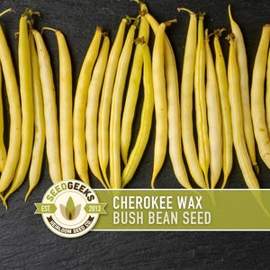 May include: A close-up of fresh, yellow Cherokee Wax bush beans. The beans are arranged in rows on a dark surface. The image includes the text "CHEROKEE WAX BUSH BEAN SEED" and a logo.