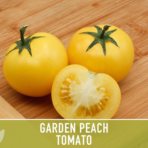 Garden Peach Tomato Heirloom Seeds Indeterminate Salad Etsy