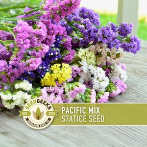 May include: A colourful display of statice flowers in purple, pink, yellow, and white hues. The flowers are arranged on a light wooden surface. The image includes a logo that reads "Pacific Mix Statice Seed".