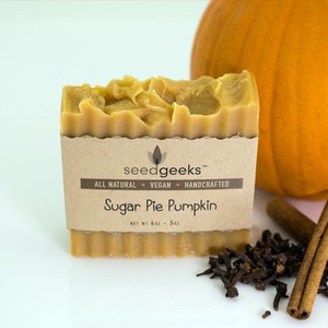 Sugar Pie Pumpkin Soap Handmade Soap, Natural Soap, Vegan Soap, Cold Process Soap Soap, Made with Real Organic Pumpkin image 1